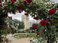 Notre Dame