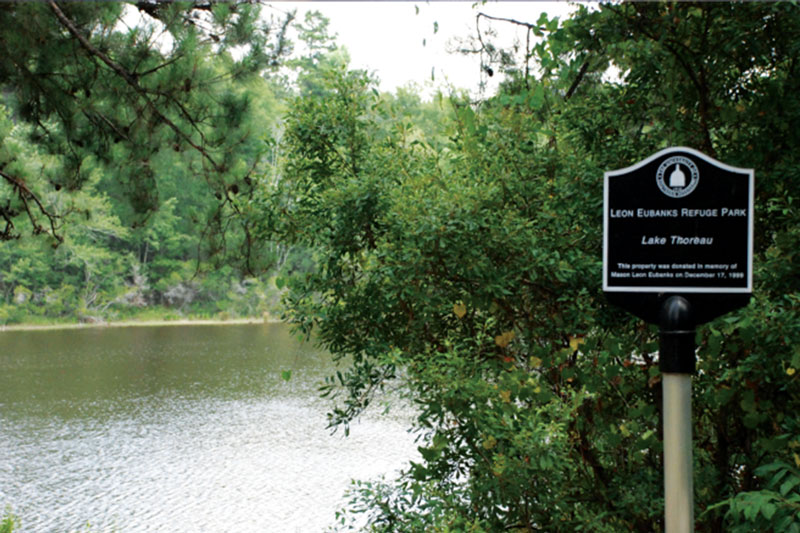 Photo of Lake Thoreau
