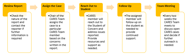 Cares Review Process