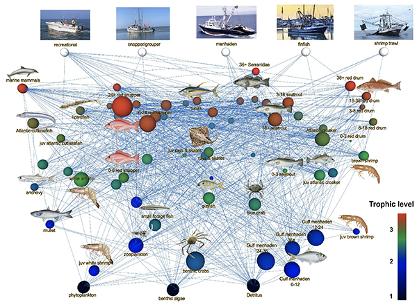 Mississippi River graph