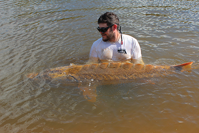 Andres with Sturgeon