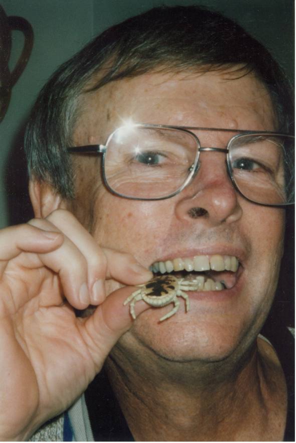 ticks tick demonstration