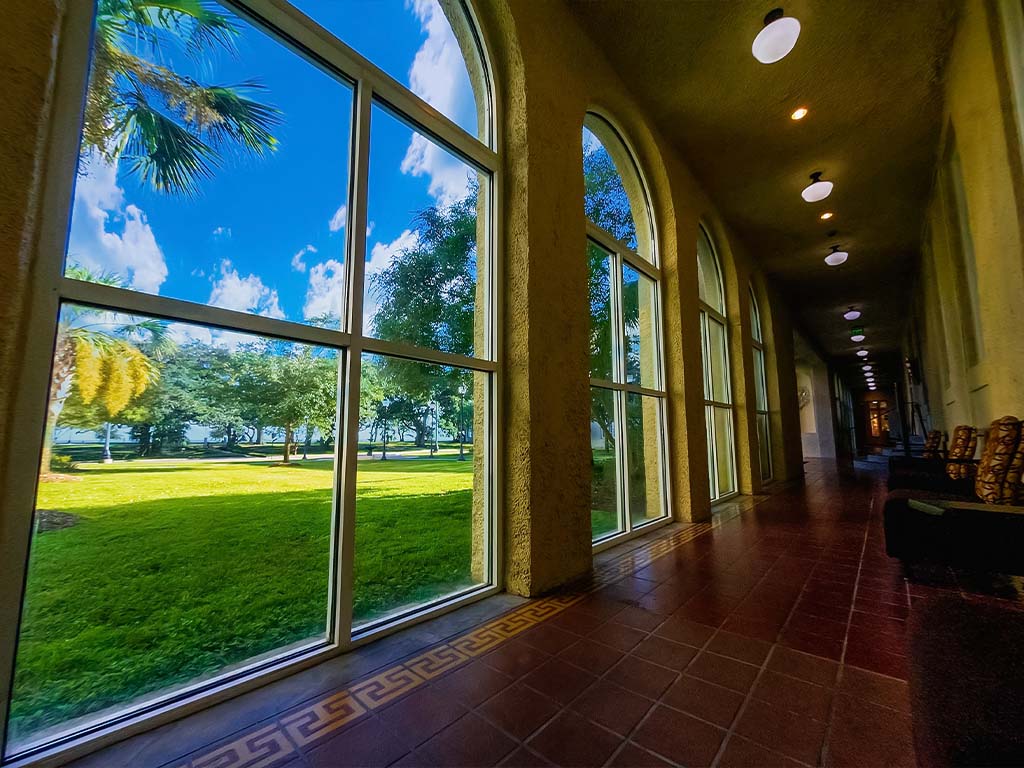 Hardy Hall view