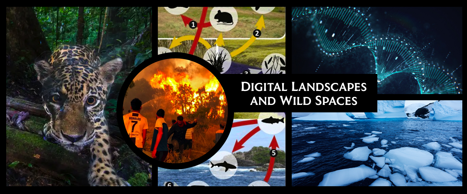 Digital Landscapes and Wild Places
