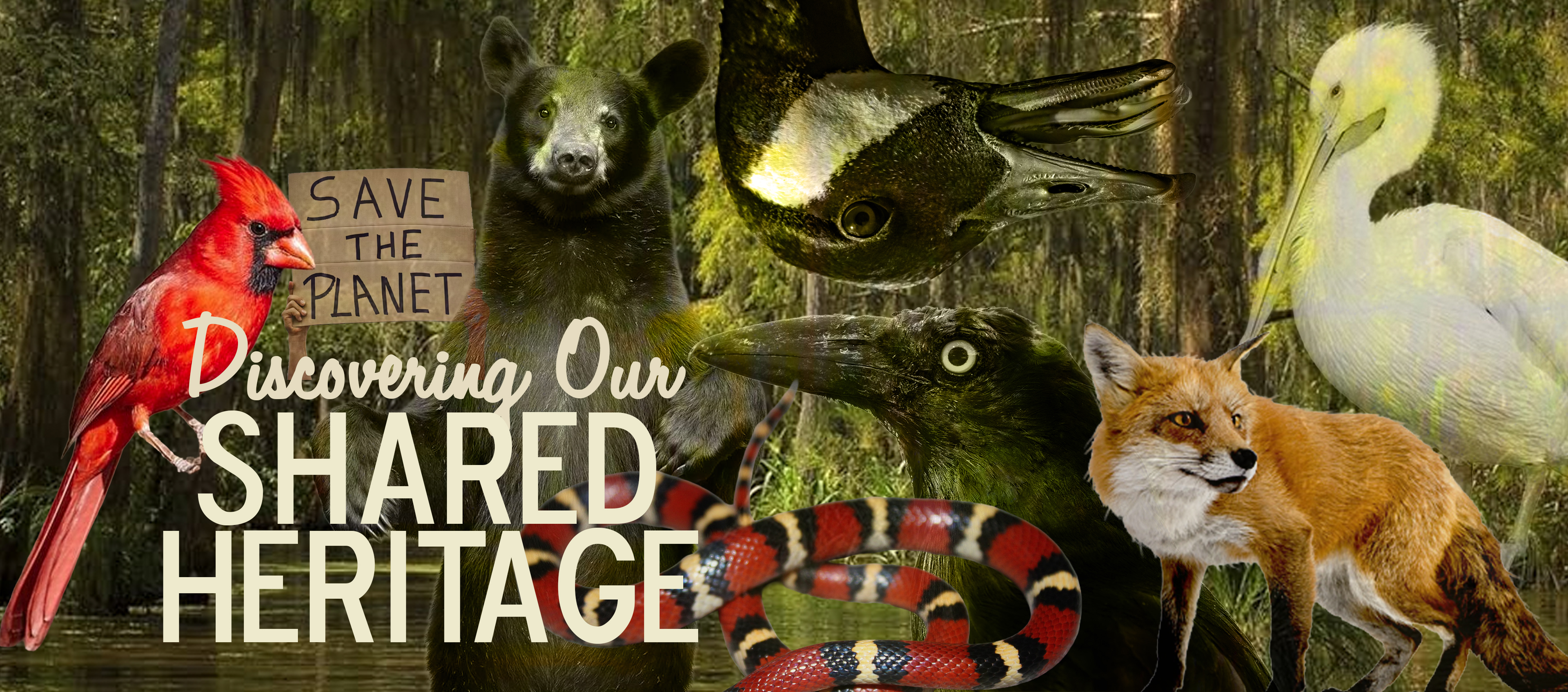 Discovering Our Shared Heritage