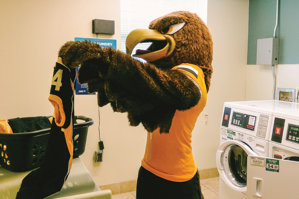 Seymour doing Laundry