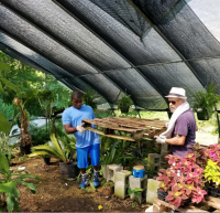 Working in a nursery