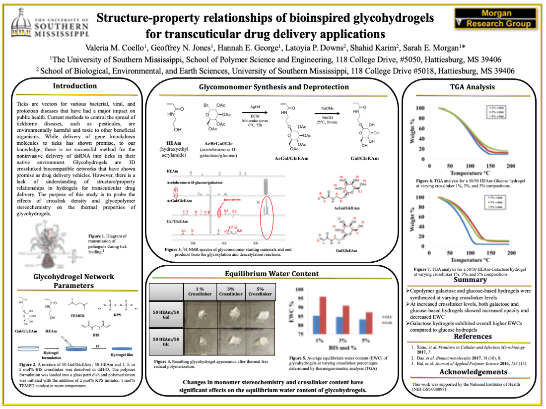 Morgan Research Group, Southern Miss Polymer Science and Engineering