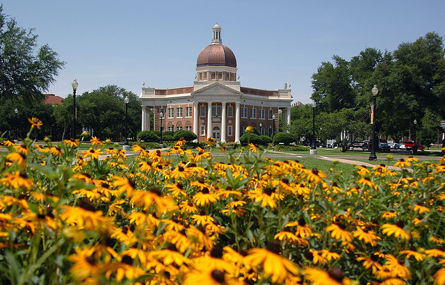 Black-eyed Susans in front of the Aubrey K. Lucas Administration Building
