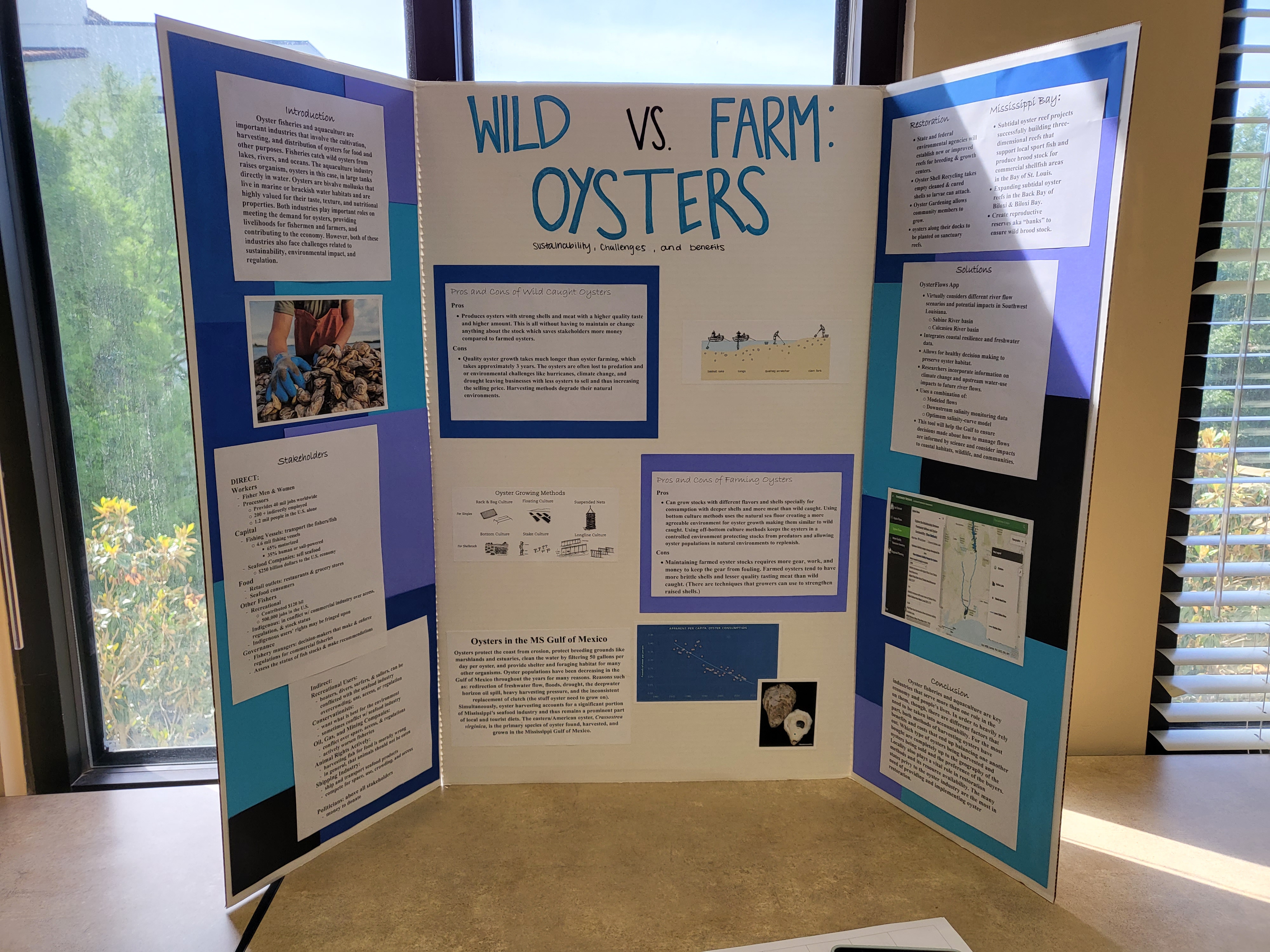 BSC Project