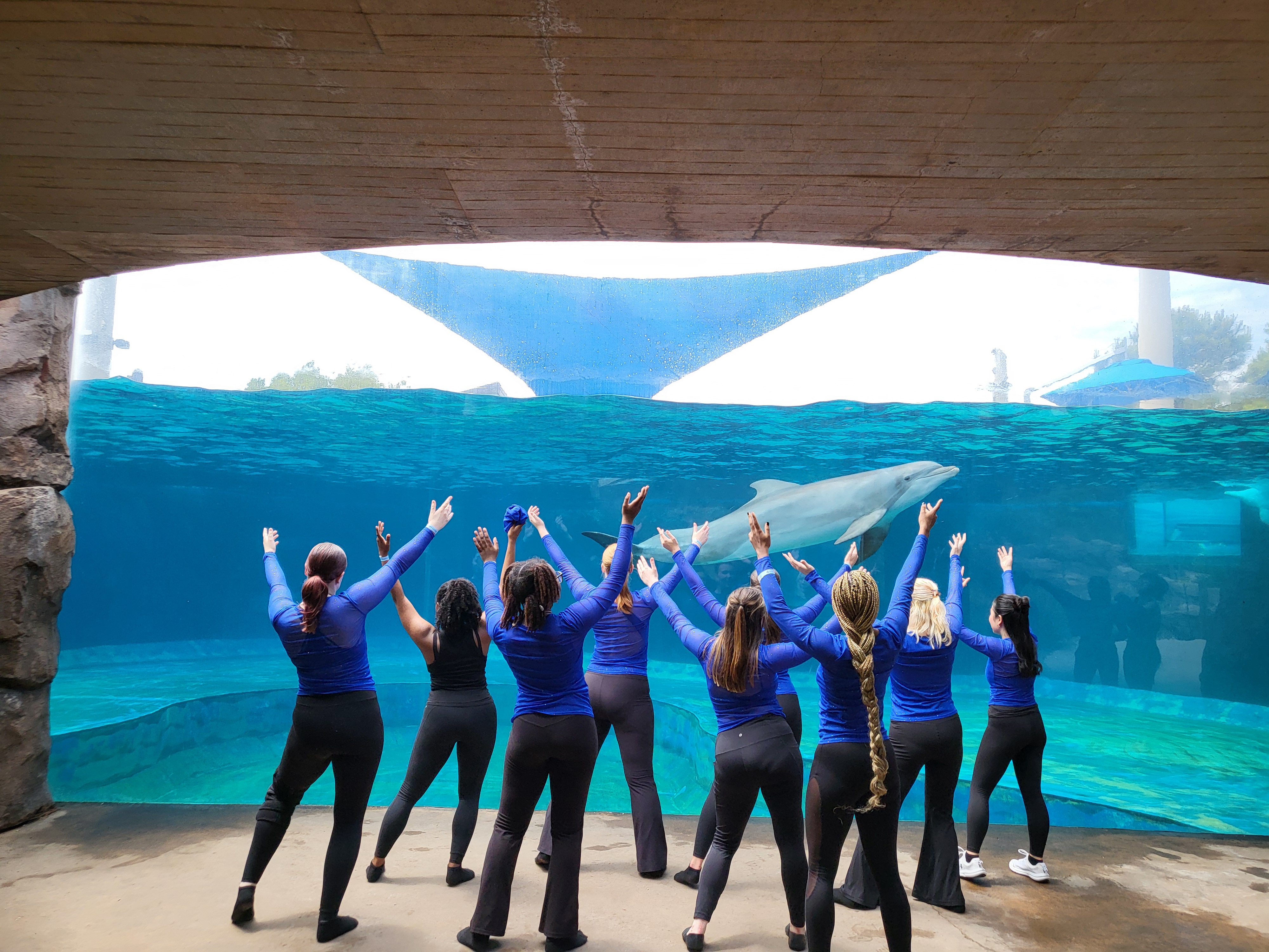 aquarium