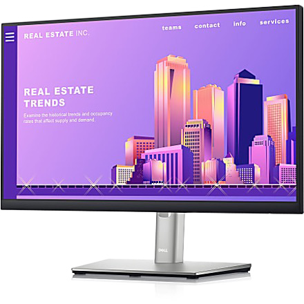 Professional Widescreen Flat Panel Monitor