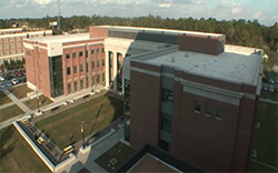 Scianna Hall