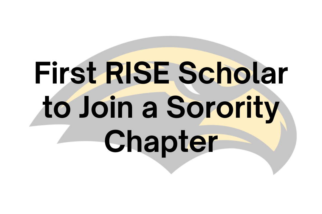 LSI News