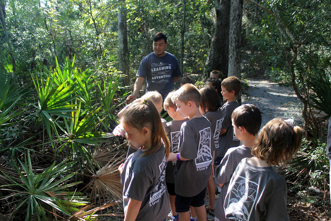 osprey trail