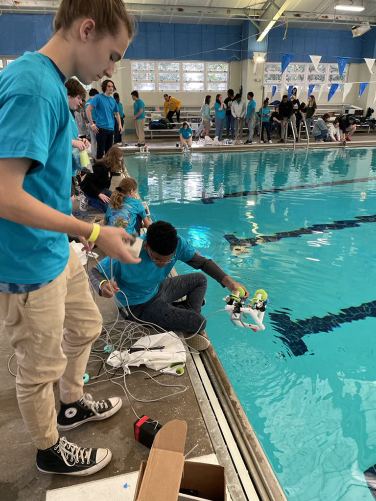 seaperch