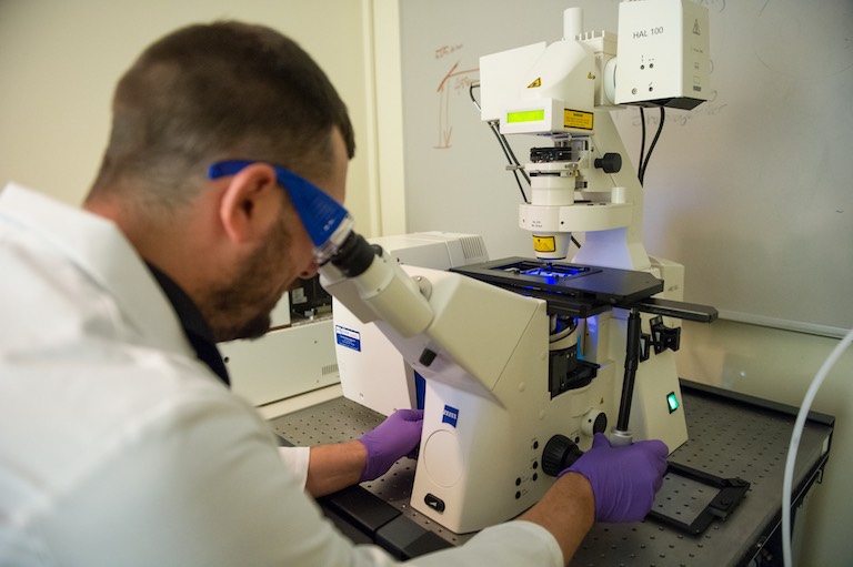 student using microscope