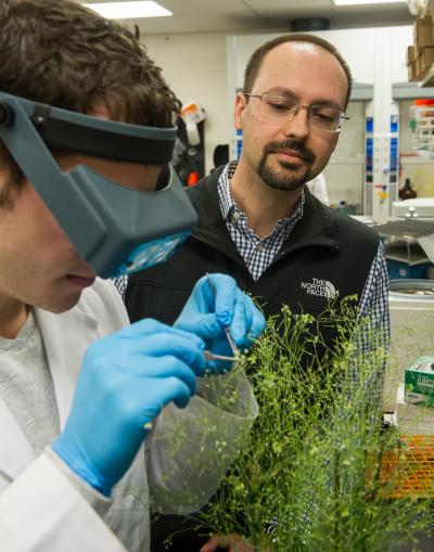 USM Professor Philip Bates observes as doctoral student David Sliman, from St. Martin, Miss., conducts plant research in Bates' lab. (Photo by Kelly Dunn)
