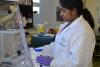 Nabanita Mukherjee works in the lab of Dr. Shahid Karim (Photo by Tara Burcham) 