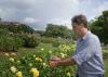 The garden features approximately 800 separate rose bushes.