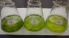 Experiments focus on growing an algae – known as cyanobacteria.