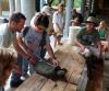 Students measuring a live turtle during the annual Summer Field Program at GCRL.