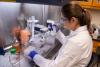 A student researcher works in one of the biomedical labs.