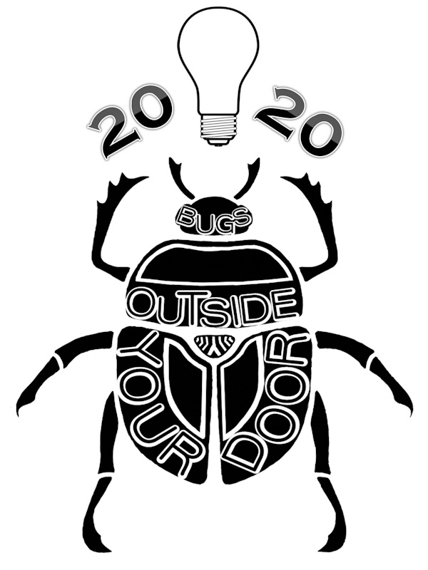 2020 Bugs Outside Your Door