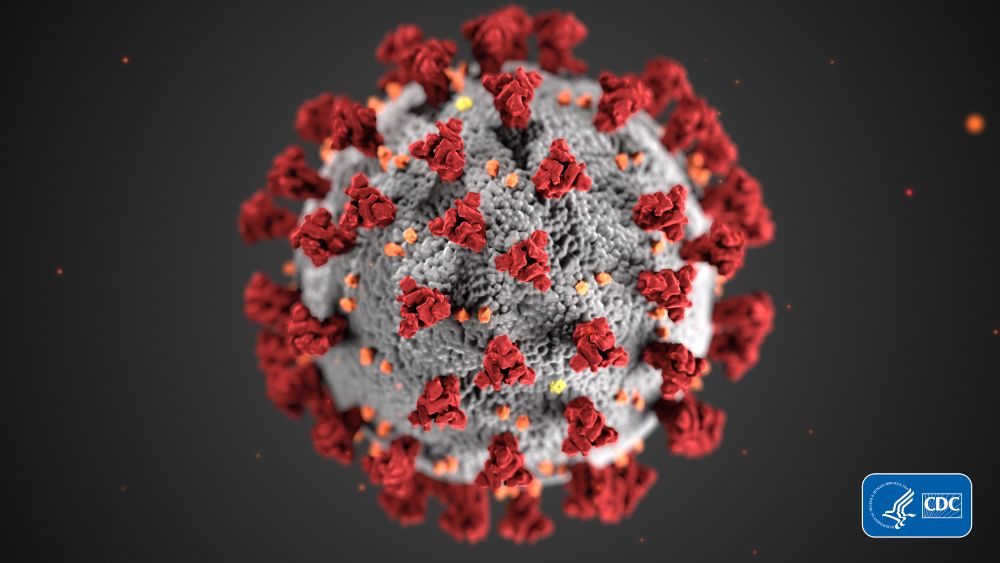COVID-19 virus under a microscope