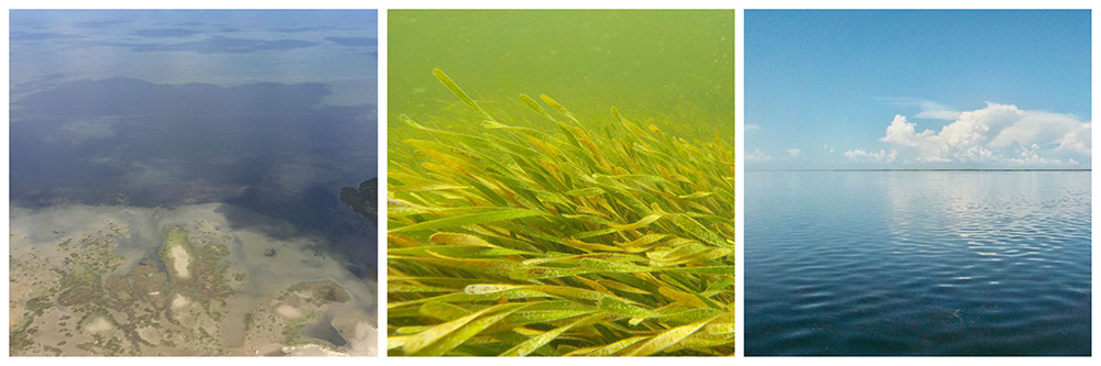 From left to right: an aerial view of the islands, the seagrass, and a direct photo of the islands