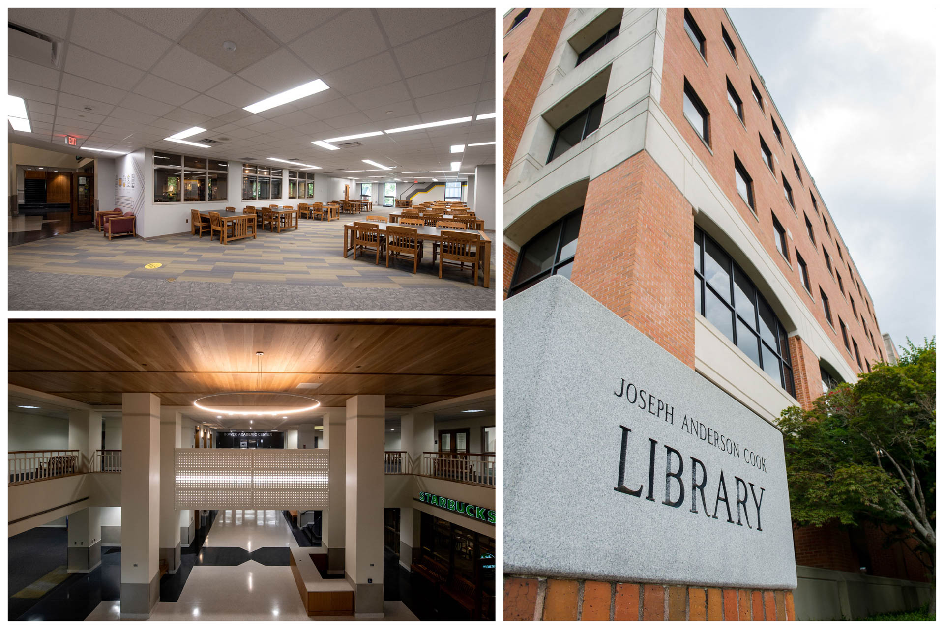 Photos of the library's renovations