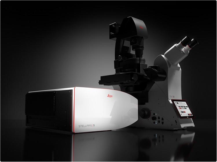 STELLARIS STED super resolution microscope 