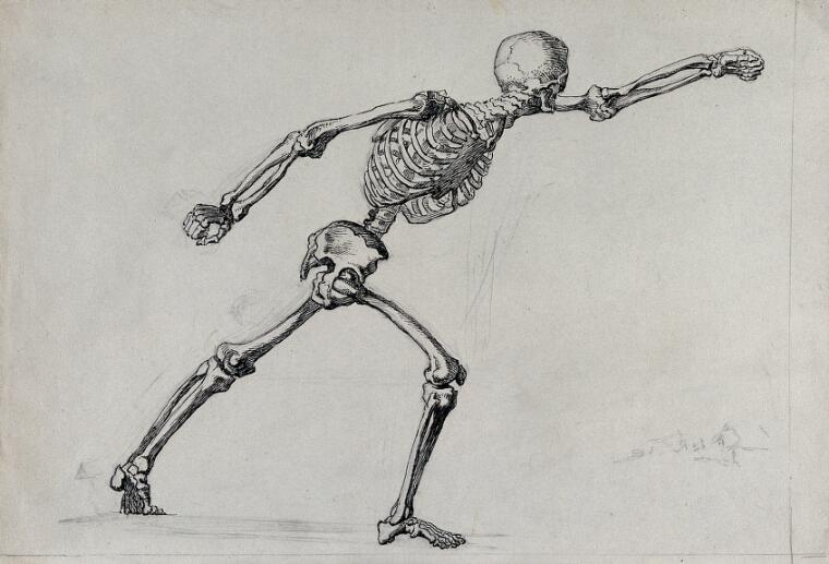 A skeleton reaching