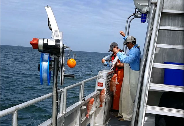 Capturing fish