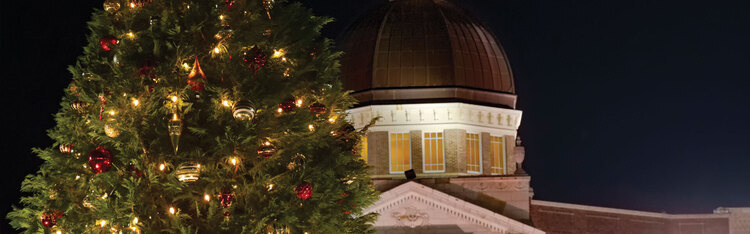 The administration building behind a Christmas tree