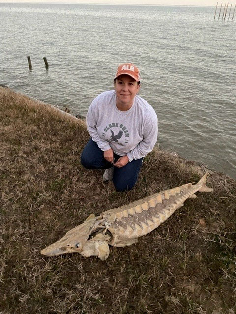 Tami May poses with this rare Gulf Sturgeon carcass she found in Mobile Bay, near Coden, Ala.