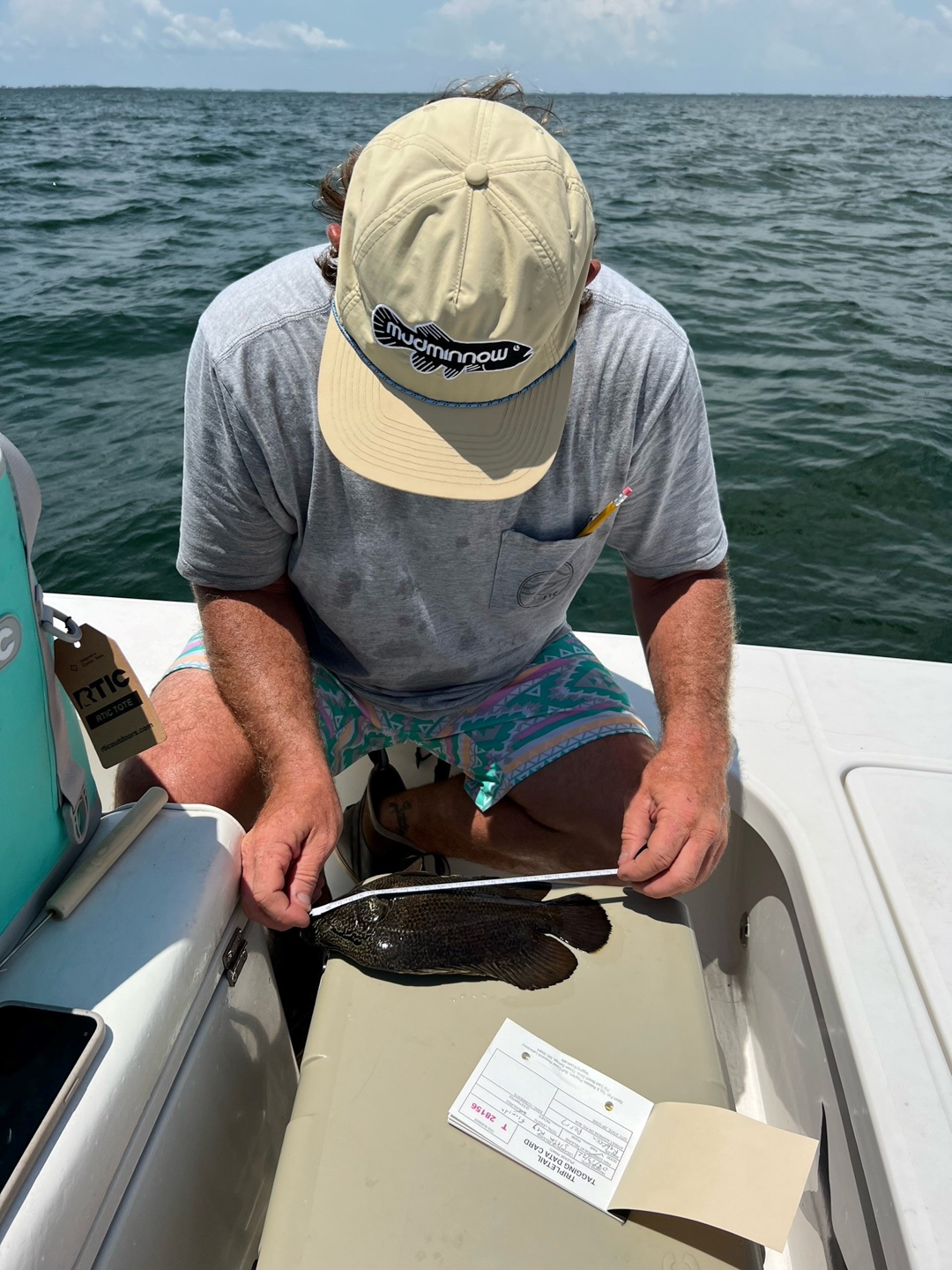 Triple Tail Catch and Release