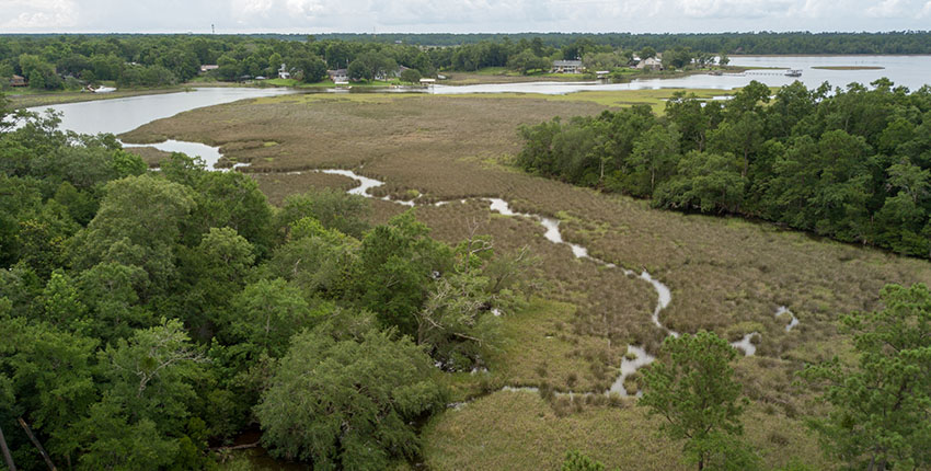 MEC Outside Landscape