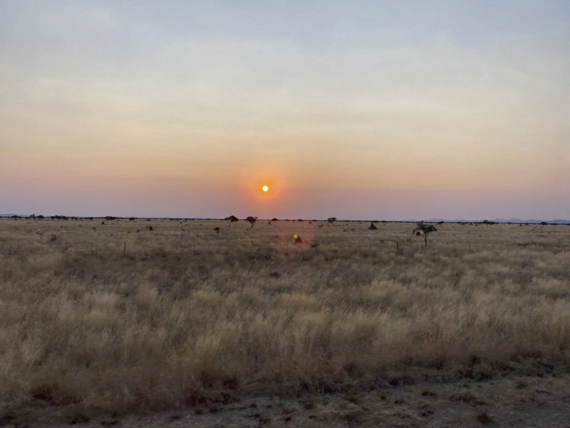 Africa Study Abroad
