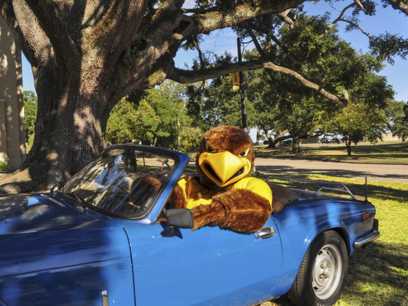 Seymour in classic car