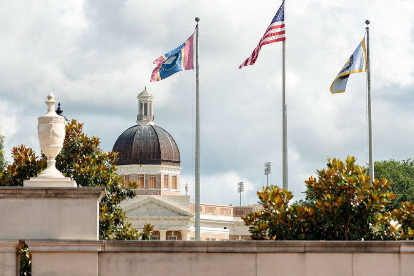 Dale Center Flags