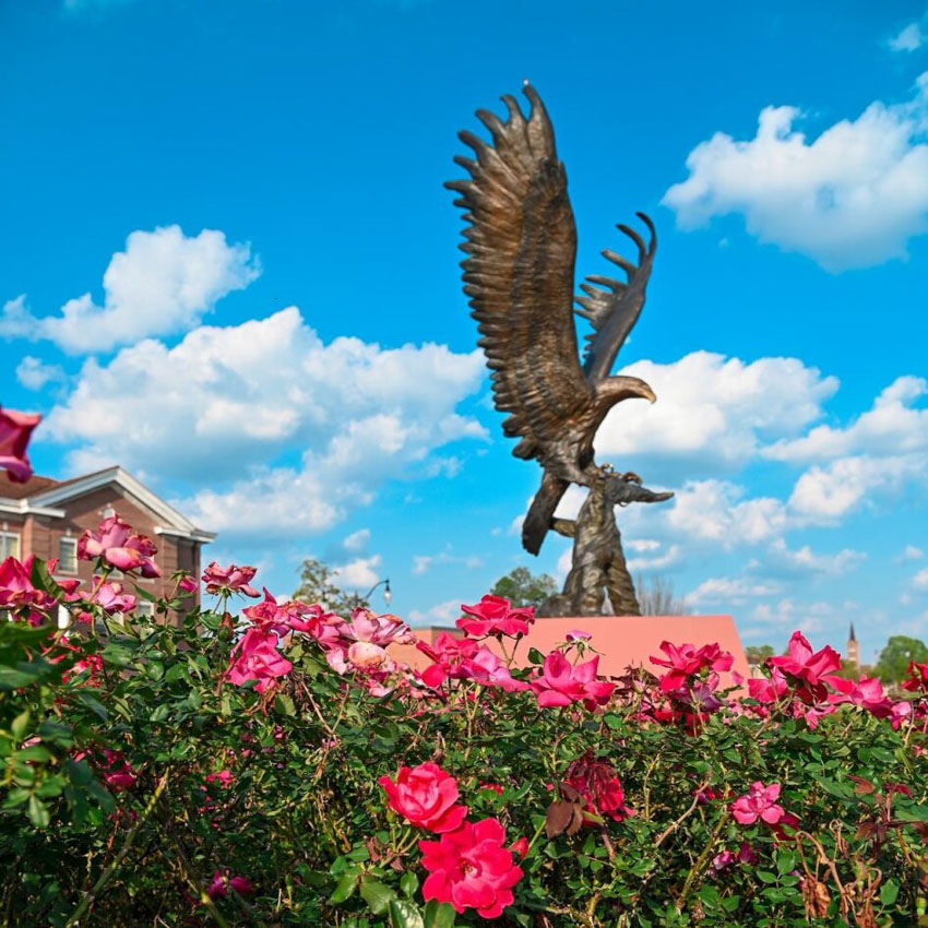 USM Logo