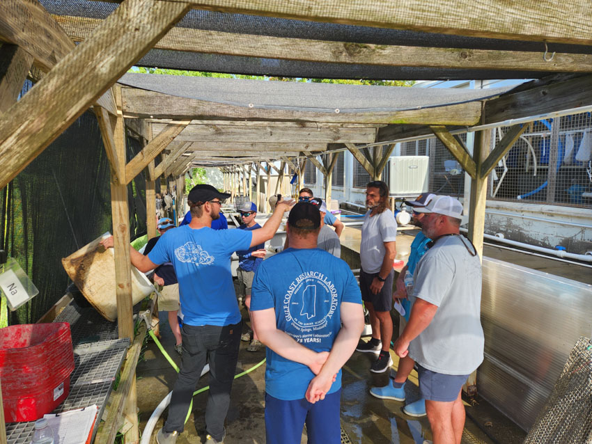 TCMAC Oyster Research