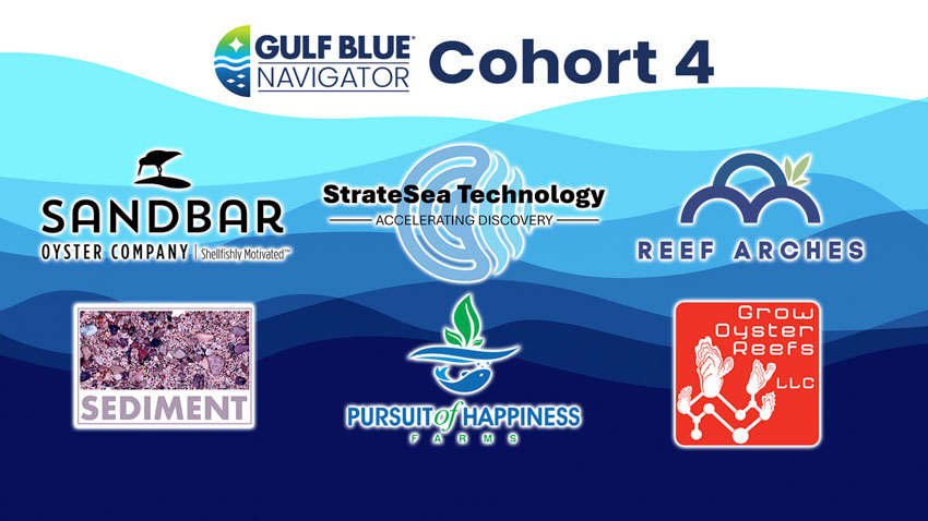 Cohort Four Logo