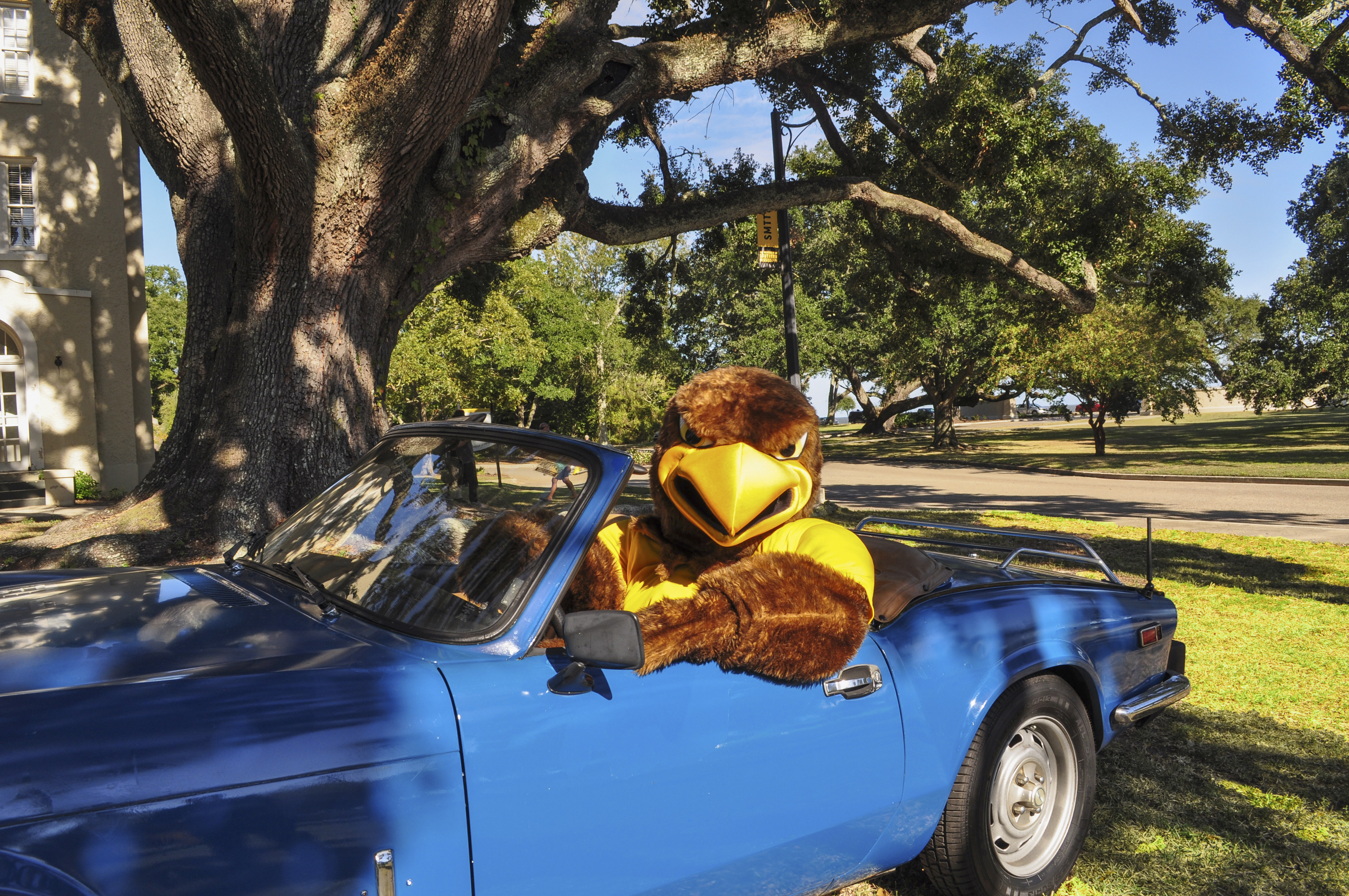 Seymour in classic car Seymour in classic car