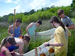 Barrier Ecology