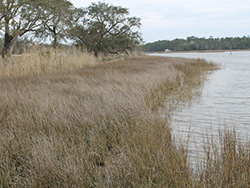 Coastal Environments in Peril