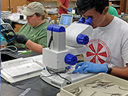 Student Microscope