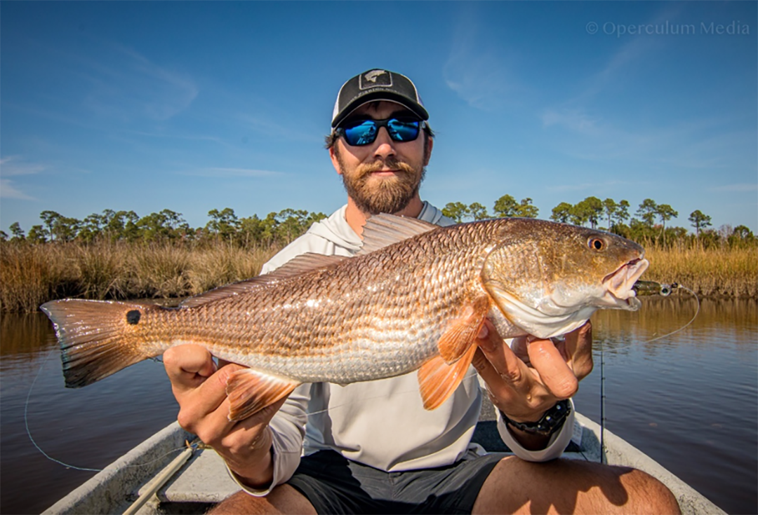 Red Drum Tag and Release, Center for Fisheries Research and Development