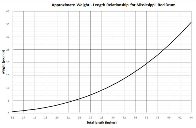 red drum growth chart